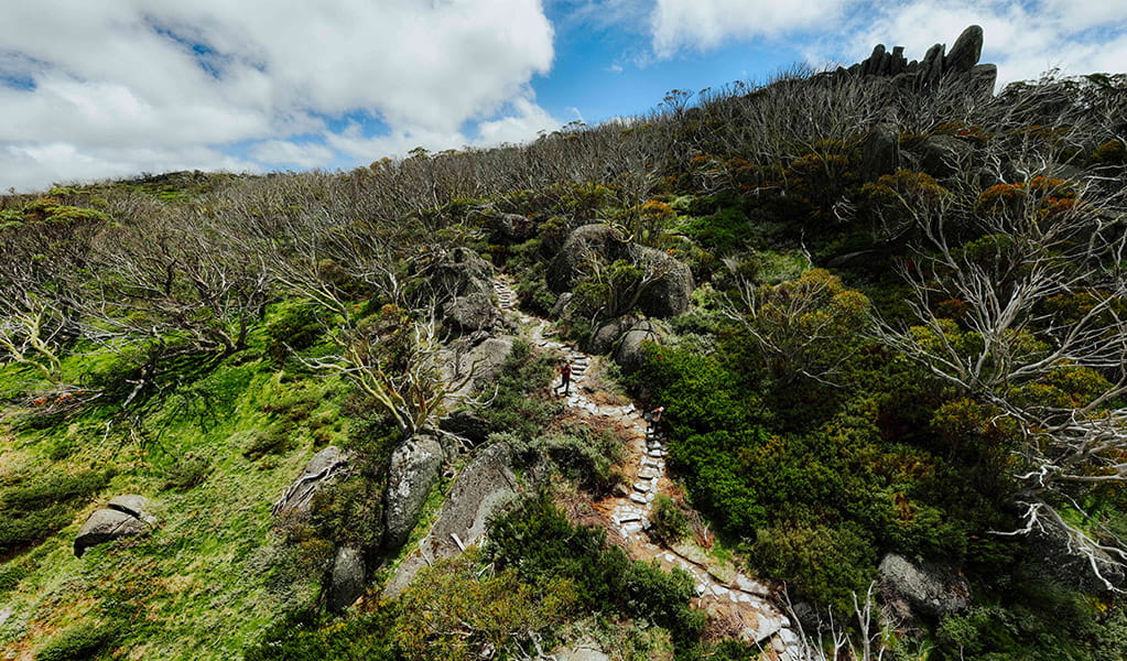 2 hikers on a winding trail of stepping stones surrounded by sub-alpine plants in Kosciuszko National Park. Credit: Daniel Parsons / DCCEEW &copy; Caravel Content