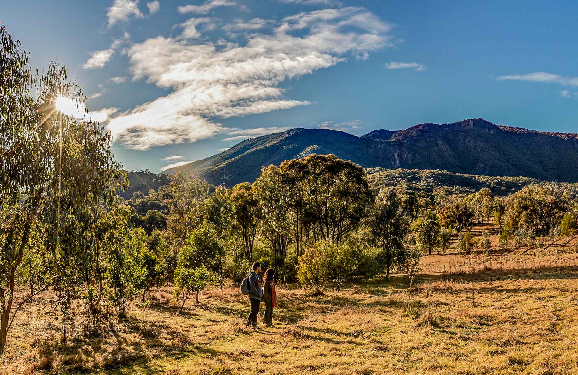 Blowering Cliffs walking track | NSW National Parks