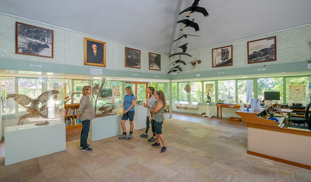 Three visitors listen to a volunteer to learn more about exhibits at the Kalkari Discovery Centre in Ku-ring-gai chase National Park. Photo: Johny Spencer &copy; DCCEEW