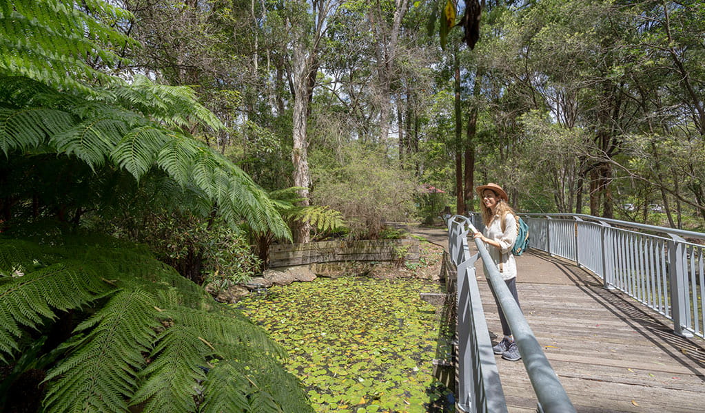 A woman stands at a metal railing on a flat bridge along Kalkari discovery trail, looking at green water lily leaves in the pond below. Photo: Johny Spencer &copy; DCCEEW