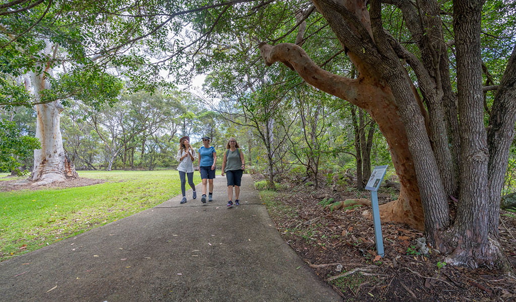 Three women walk along a flat concrete path on Kalkari discovery trail past grass, native trees and an information sign.  Photo: Johny Spencer &copy; DCCEEW