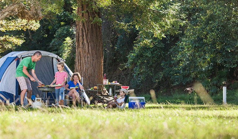 The Basin campground, Ku-ring-gai National Park. Photo: David Finnegan/DPIE