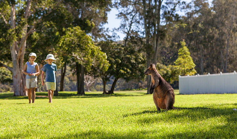 The Basin campground, Ku-ring-gai National Park. Photo: David Finnegan/DPIE