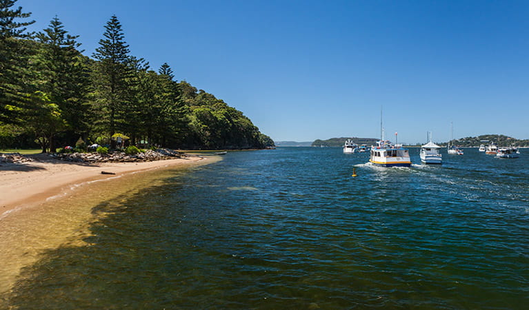 The Basin campground, Ku-ring-gai Chase National Park. Photo: David Finnegan/DPIE