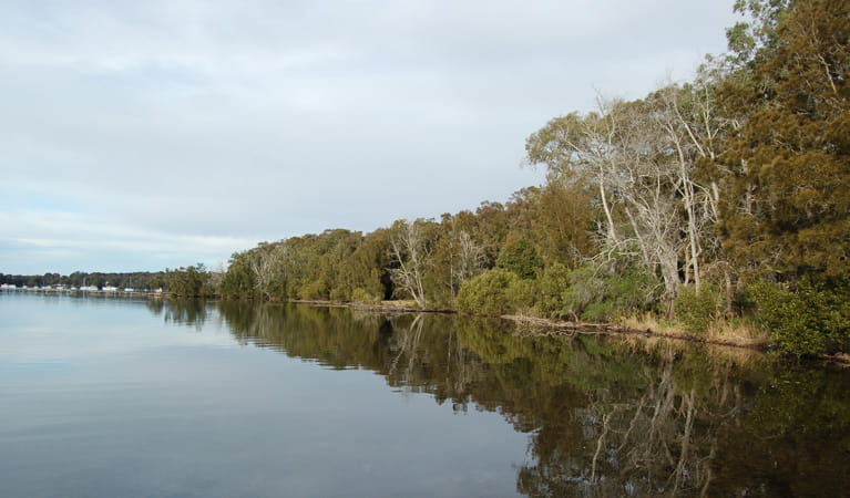 Lake Macquarie State Conservation Area. Photo: Susan Davis/NSW Government