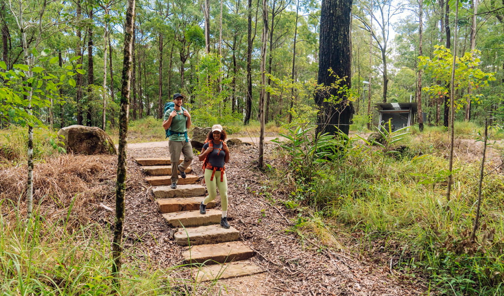 Whiskey Creek walk starts at Unicorn Falls carpark in Mount Jerusalem National Park. Photo: Remy Brand &copy; Caravel Content