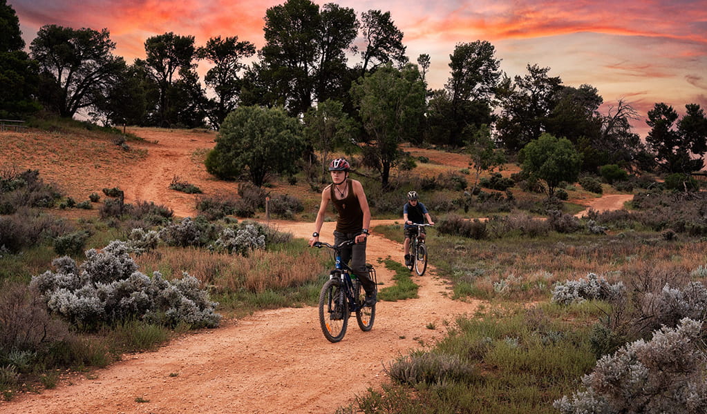 2 mountain bike riders on Mungo Lake cycling track with red soil and a stunning pink sunset behind the trees. Credit: Aaron Davenport/DCCEEW &copy; Aaron Davenport