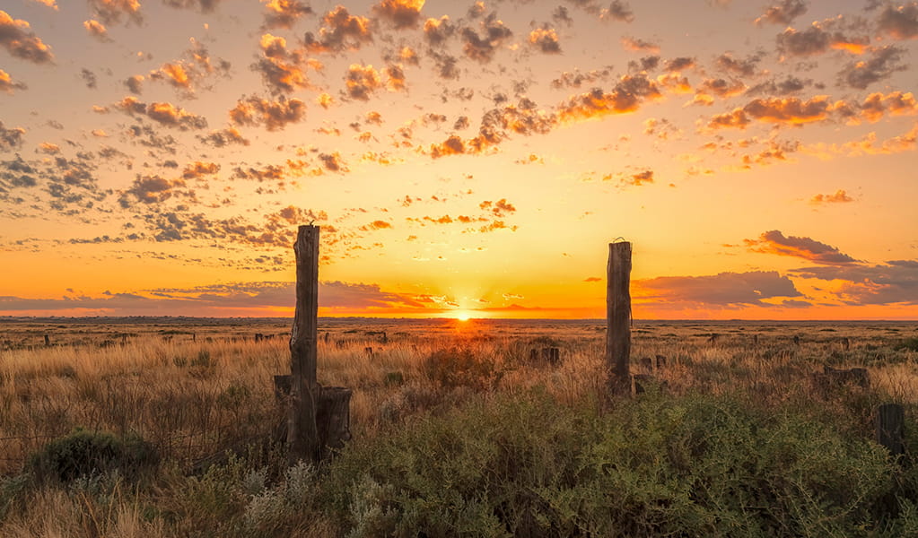 A gold and orange sunrise over a vast flat landscape in Mungo National Park. Credit: Hao Li/DCCEEW &copy; Hao Li