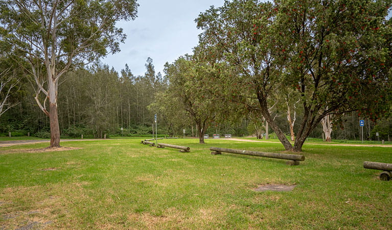 Grassy, unmarked campsites at Violet Hill campground in Myall Lakes National Park. Photo: John Spencer &copy; DPIE