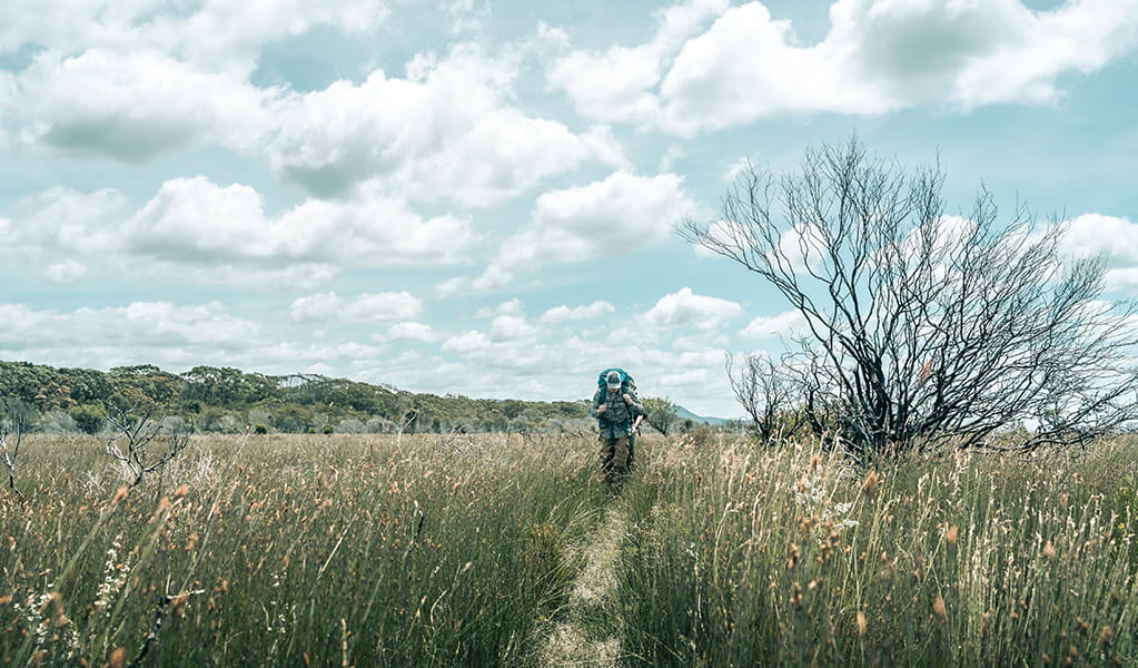 A hiker on a long stretch of Nadgee Wilderness Walk carrying a large backpack through grasslands.  Credit: Benjamin Wiesner/DCCEEW &copy; Benjamin Wiesner