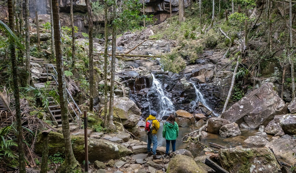 Walkers pause to admire a small waterfall, Protestors Falls walking track, Nightcap National Park. Photo: John Spencer/DCCEEW