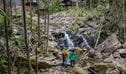 Walkers pause to admire a small waterfall, Protestors Falls walking track, Nightcap National Park. Photo: John Spencer/DCCEEW