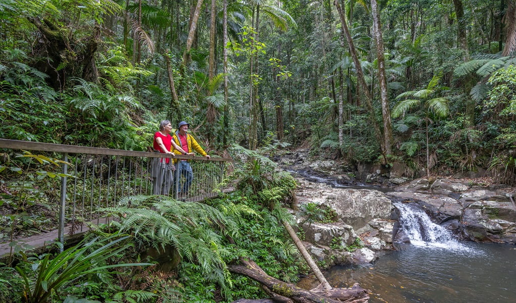 Walkers pause to breathe in the rainforest air and to admire a small cascade, Protestors Falls walking track, Nightcap National Park. Photo: John Spencer/DCCEEW