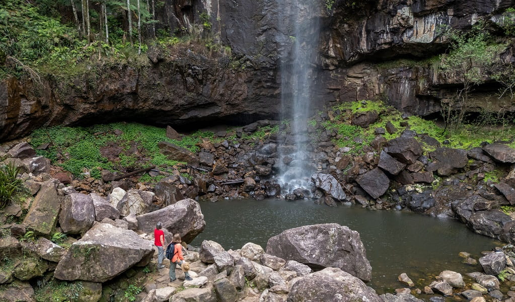 Walkers transfixed at the awe-inspiring Protestors Falls and its green and rock-strewn surrounds, Nightcap National Park. Photo: John Spencer/DCCEEW 