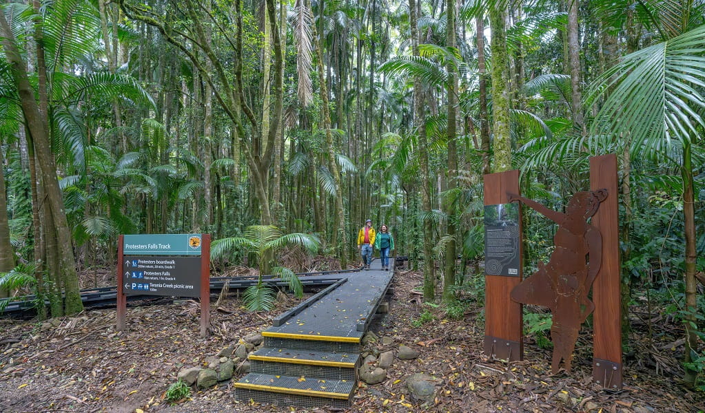 Walkers completing this return walk where they started, Protestors Falls walking track, Nightcap National Park. Photo: John Spencer/DCCEEW  