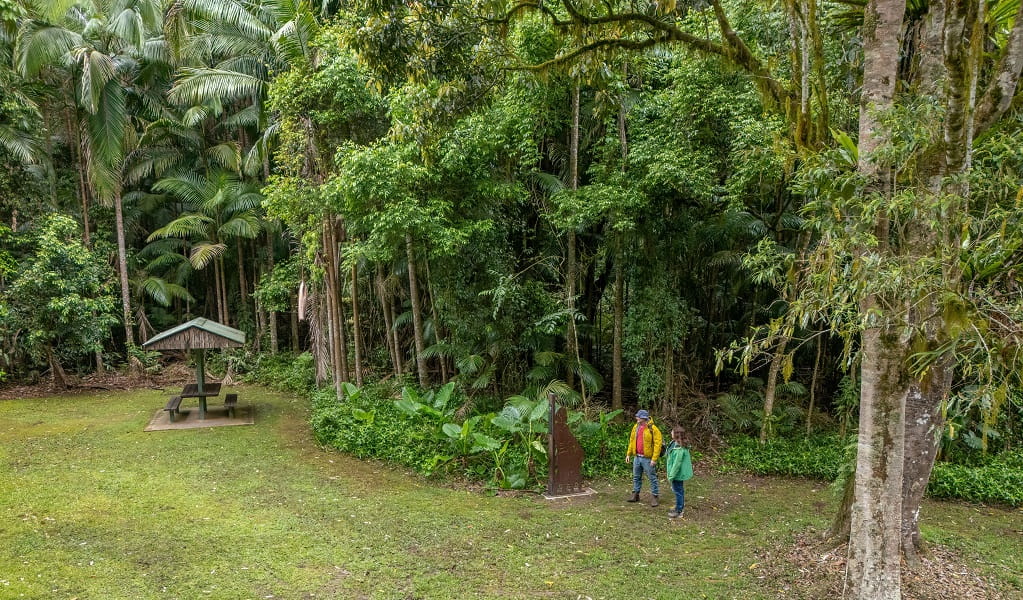 Walkers emerge from the rainforest into a clearing at Terania Creek picnic area, and stop to look at an iron artwork, Nightcap National Park. Photo: John Spencer/DCCEEW