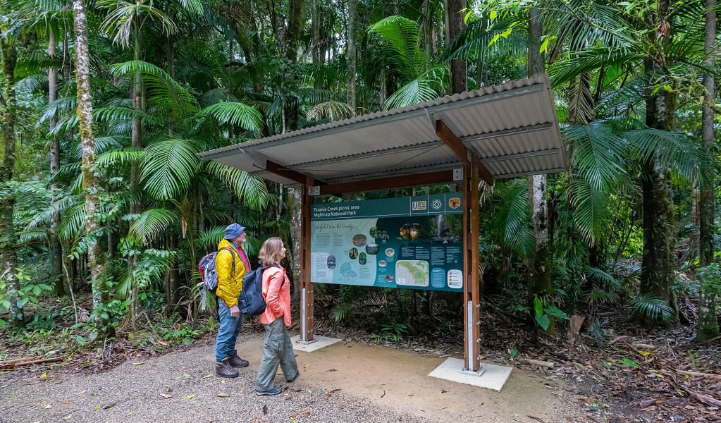 Visitors take in some of the story of this area at an information shelter, Terania Creek picnic area, Nightcap National Park. Photo: John Spencer/DCCEEW