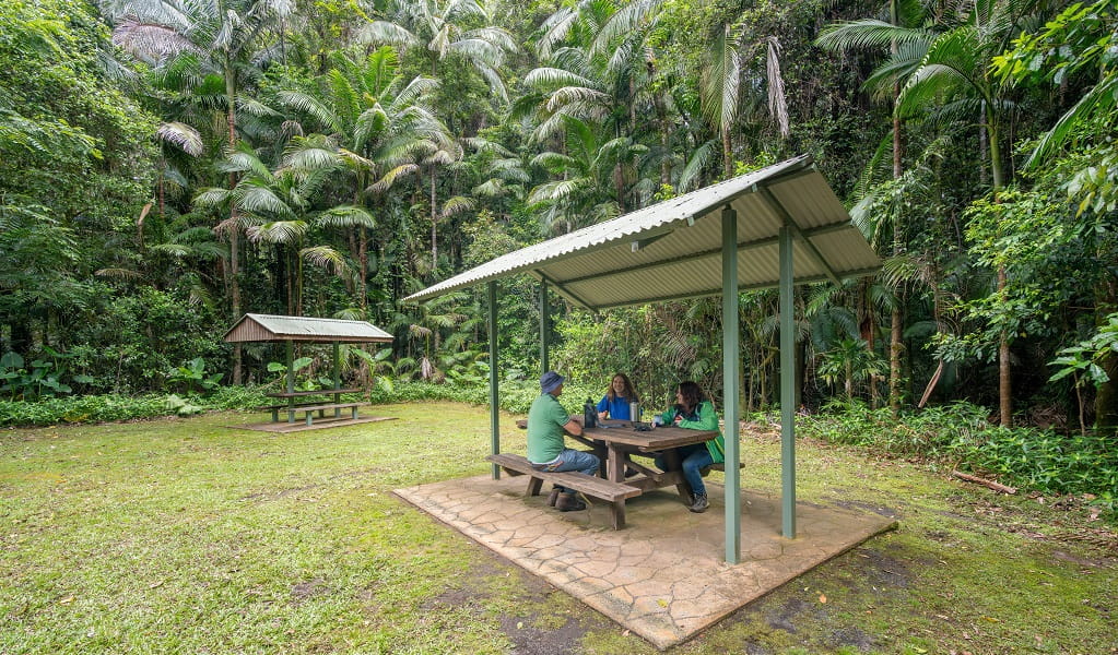 Picnickers enjoy lunch together at one of the sheltered picnic tables at Terania Creek picnic area, Nightcap National Park. Photo: John Spencer/DCCEEW