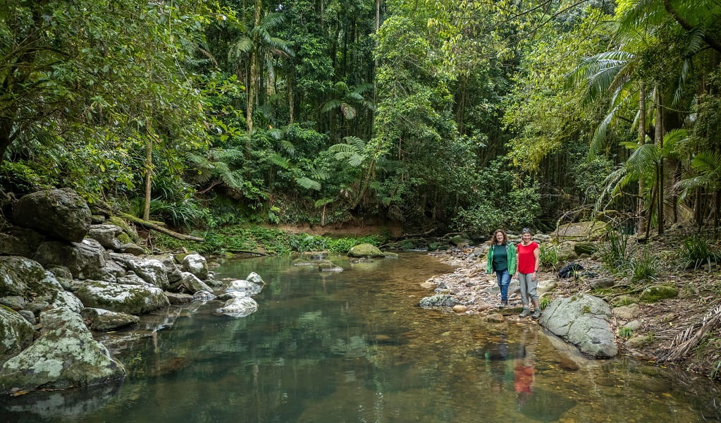 Two women admire the serenity of crystal-clear Terania Creek, Terania Creek picnic area, Nightcap National Park. Photo: John Spencer/DCCEEW