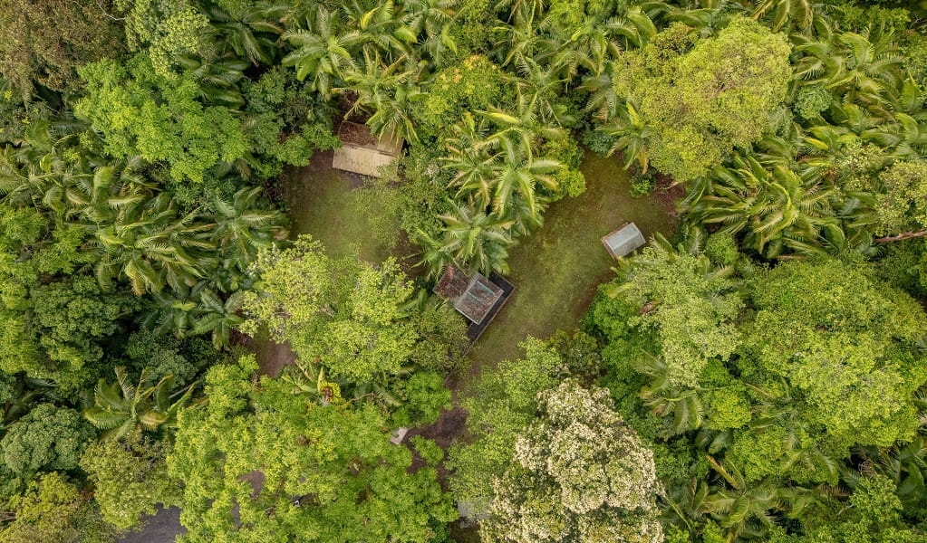 Aerial view of Terania Creek picnic area, with much of the area protected by the vibrant rainforest canopy, Nightcap National Park. Photo: John Spencer/DCCEEW