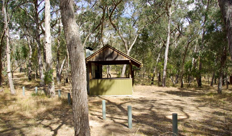 Budds Mare Campground, Oxley Wild Rivers National Park. Photo: Piers Thomas/DCCEEW &copy; Piers Thomas