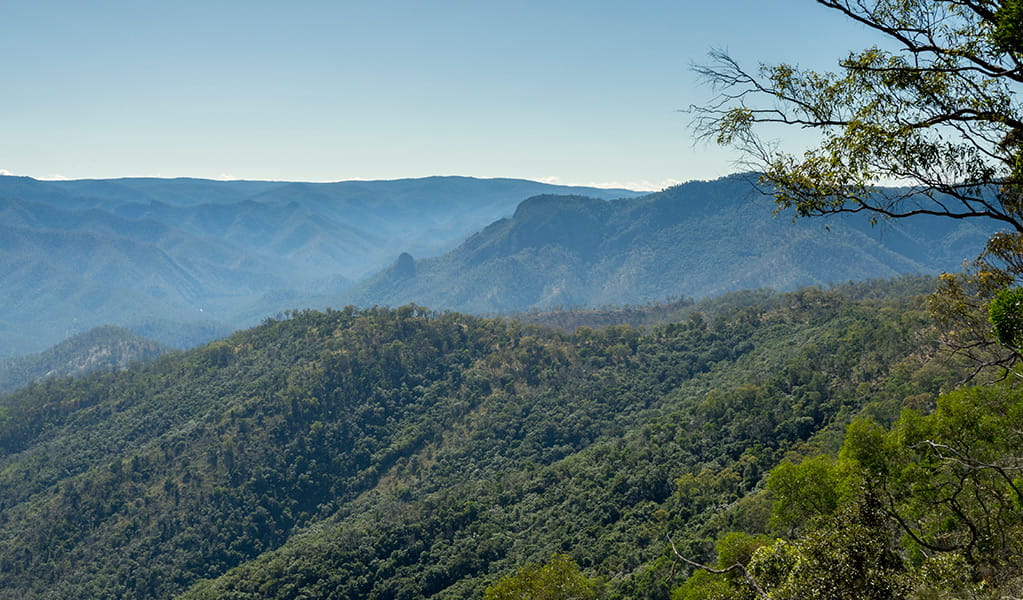 View from Paradise Rocks lookout in Oxley Wild Rivers National Park. Photo: Leah Pippos/DCCEEW &copy; Leah Pippos