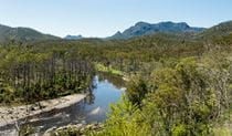 View of the Aspley River and surrounding bushland at Riverside campground and picnic area. Photo: Leah Pippos/DCCEEW &copy; Leah Pippos