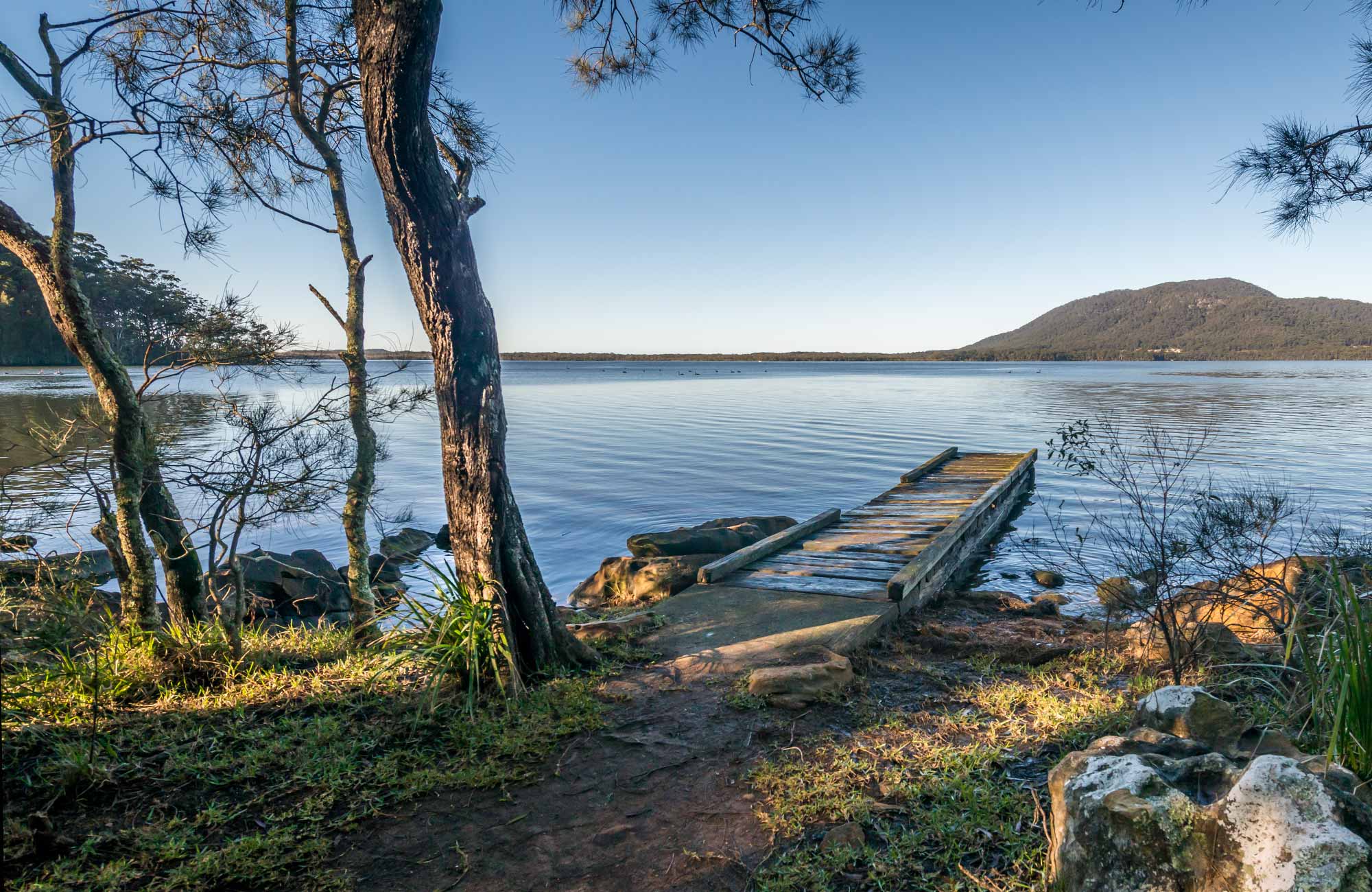 det tvivler jeg på alene bølge Queens Lake Nature Reserve | NSW National Parks