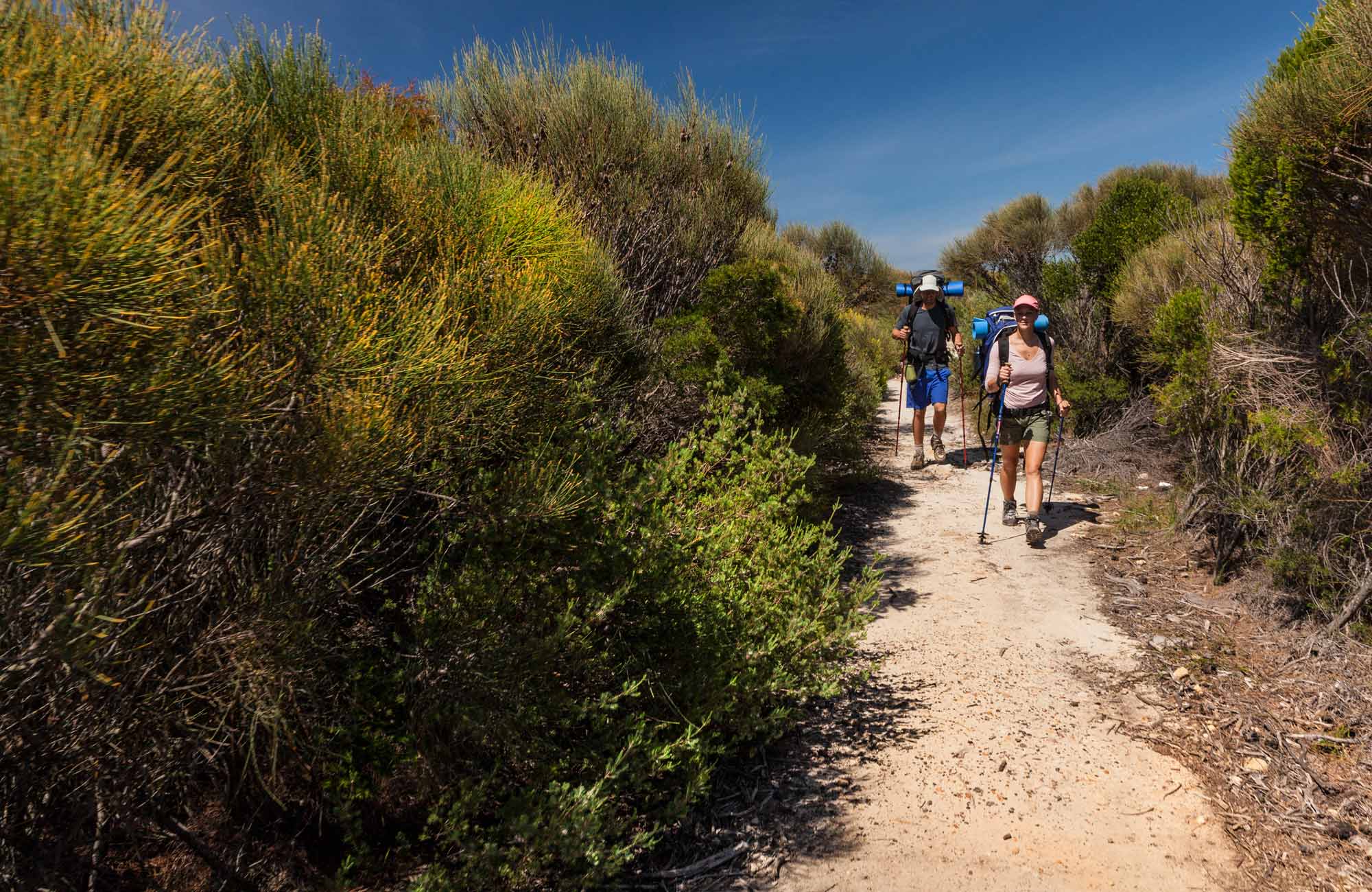 Royal Coast Track | Map | NSW National Parks