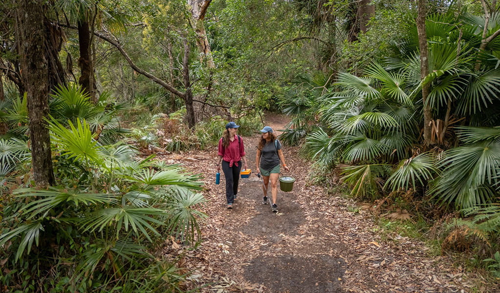 Two people walking along The Coast track surrounded by greenery in Royal National Park. Credit: John Spencer &copy; DCCEEW