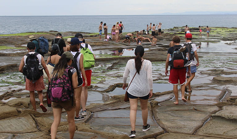 The Figure Eight Pools rock platform can become very crowded. Photo: David Croft/OEH
