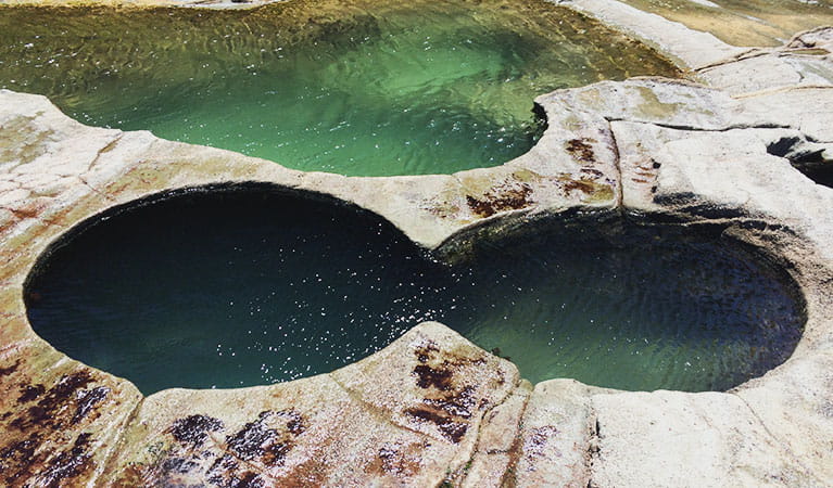 Figure Eight Pools  NSW National Parks