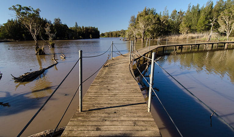 Longneck Lagoon walking track | NSW National Parks