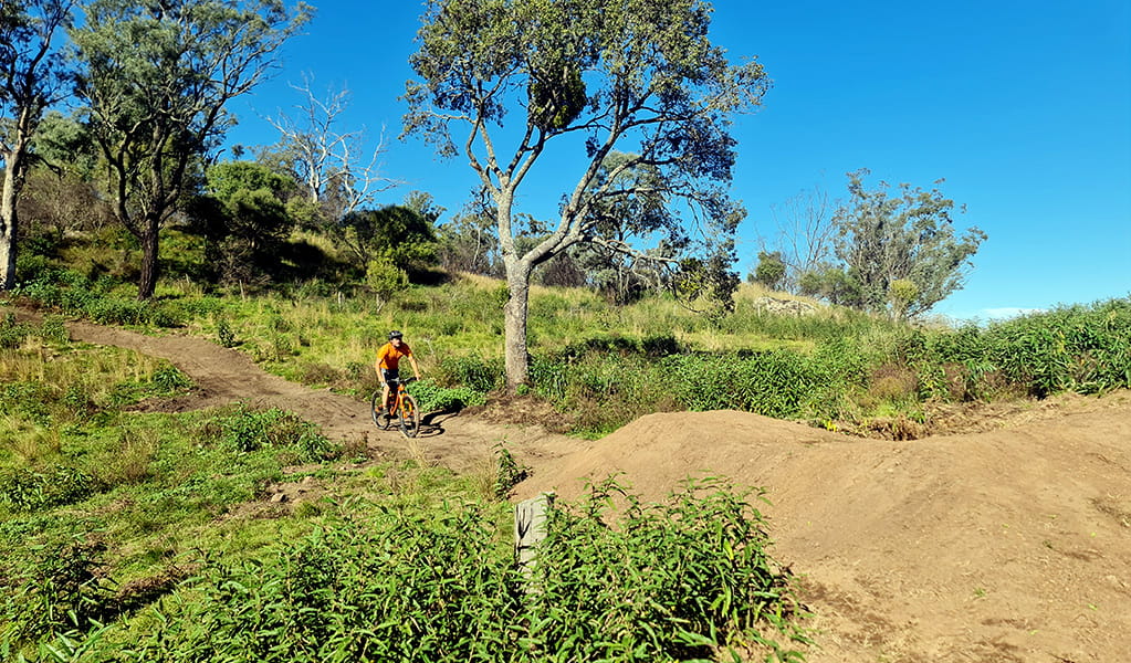 A cyclist on one of Scone Mountain bike trails in Scone Mountain National Park. Photo: Amy Pickering, &copy; DCCEEW
