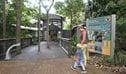 A woman and child walk towards the boardwalk entrance of Sea Acres Rainforest Centre, Sea Acres National Park. Credit: Adam Hollingworth/DCCEEW &copy; DCCEEW