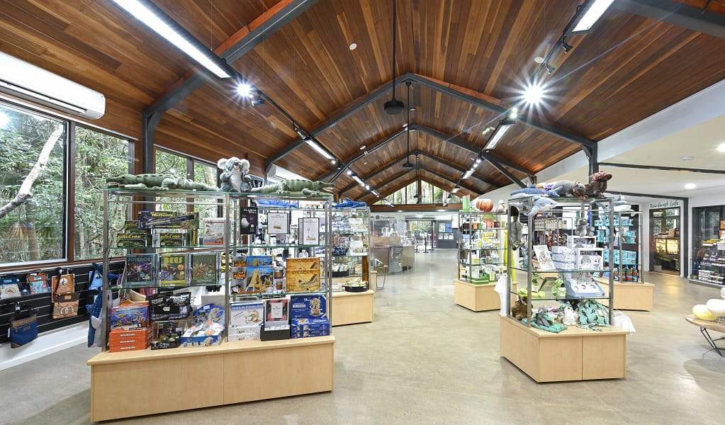 Inside the light and airy rainforest centre with glass case displays, Sea Acres National Park. Credit: Adam Hollingworth/DCCEEW &copy; DCCEEW