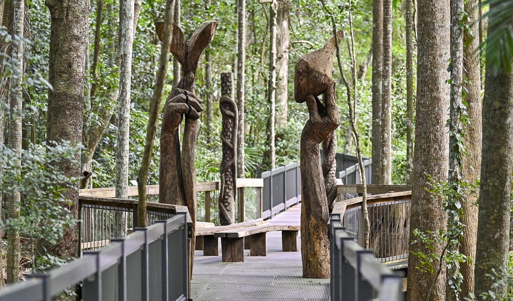 Giant carved wooden sculptures along the rainforest boardwalk, Sea Acres National Park. Credit: Adam Hollingworth/DCCEEW &copy; DCCEEW