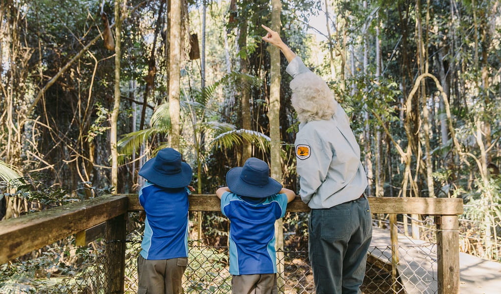 An NPWS Discovery ranger talks to 2 children about the rainforest, Sea Acres National Park. Credit: Remy Brand/DCCEEW &copy; DCCEEW