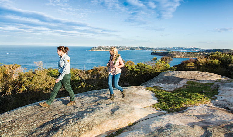Manly scenic walkway | NSW National Parks
