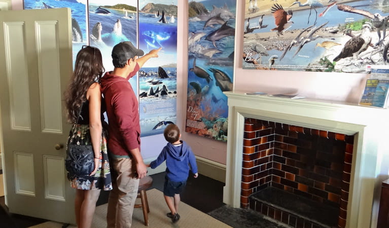 A family look at paintings of sea life in Cape Byron Information Centre, Walgun Cape Byron State Conservation Area. Photo &copy; Nathan Oliver