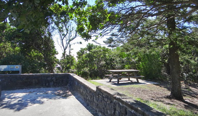 Captain Cook lookout and picnic area, Walgun Cape Byron State Conservation Area. Photo: N Oliver