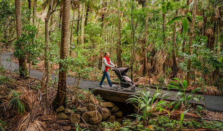 Woman with stroller on Palm Valley Currenbah walking track, Walgun Cape Byron State Conservation Area. Photo: John Spencer &copy; OEH