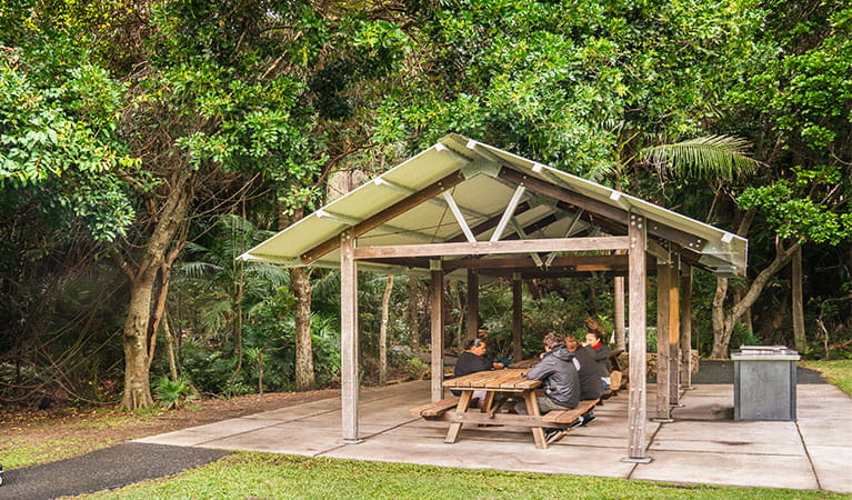 Group of people seated in picnic area in Palm Valley, Walgun Cape Byron State Conservation Area. Photo: John Spencer &copy; OEH