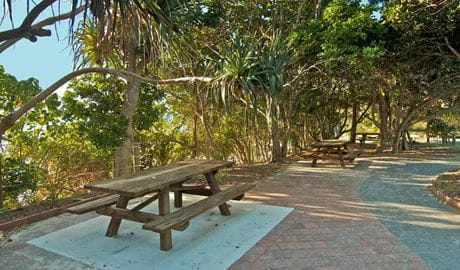 Palm Valley, Walgun Cape Byron State Conservation Area. Photo: John Spencer