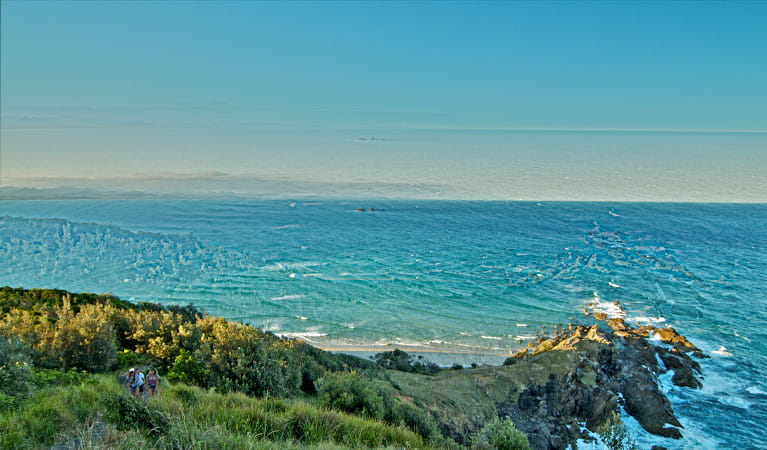 Walgun Cape Byron State Conservation Area. Photo: John Spencer Copyright:NSW Government