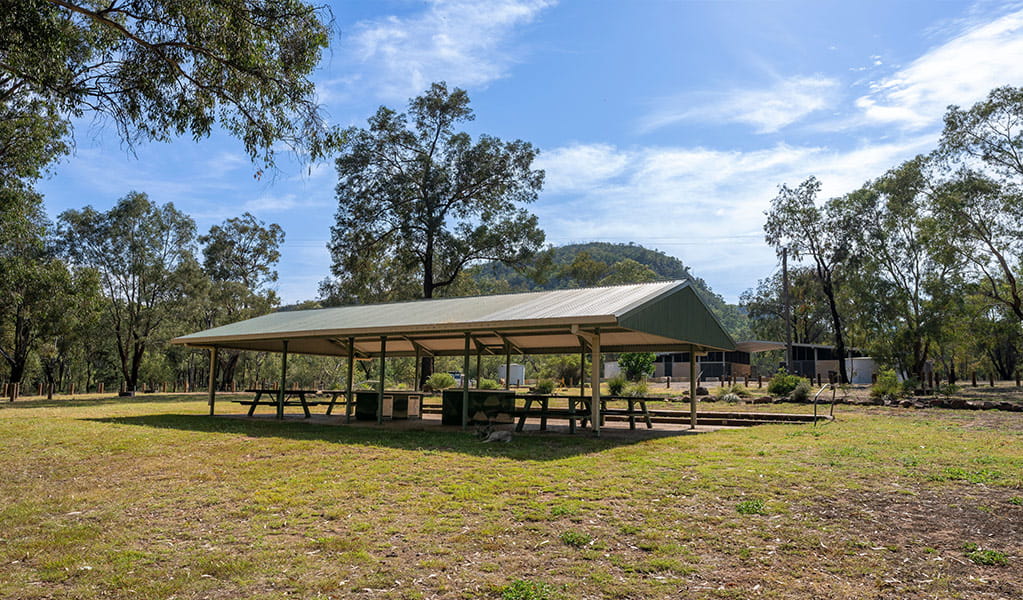 Barbecues and picnic tables under a shelter at Camp Blackman. Credit: John Spencer/DCCEEW &copy; DCCEEW