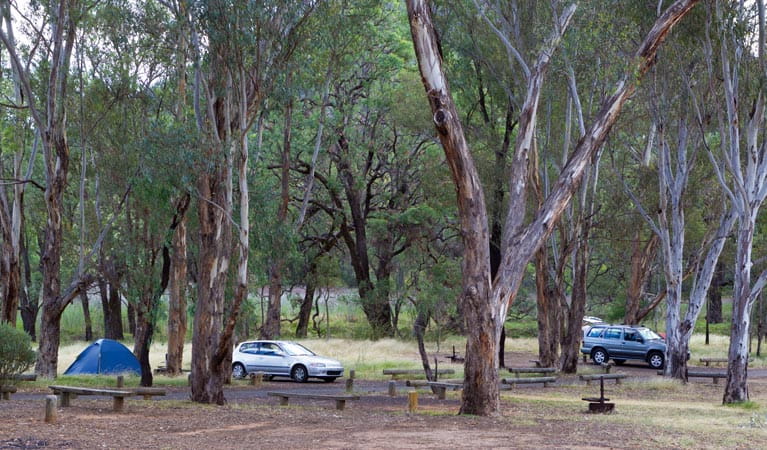 Camp Blackman, Warrumbungle National Park. Photo: Rob Cleary/DPIE