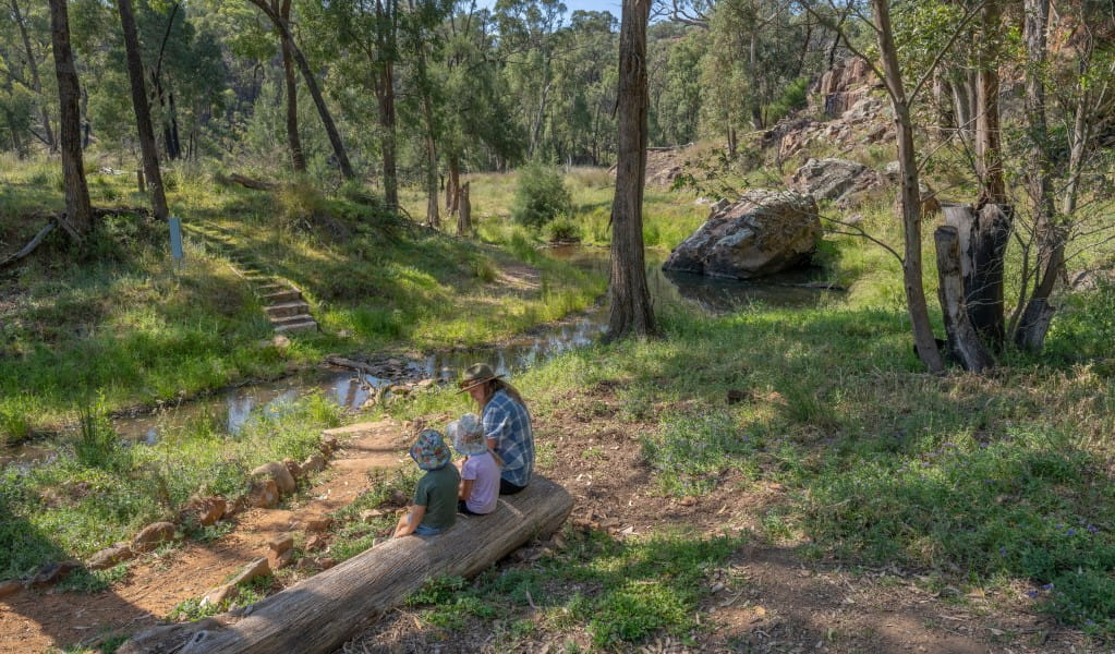 A family sitting on a fallen log next to Wambelong Creek along Wambelong Nature walking track in Warrumbungle National Park. Photo: John Spencer &copy; DCCEEW