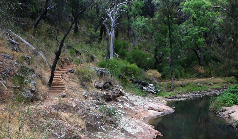 Wambelong nature track and waterway, Warrumbungle National Park.