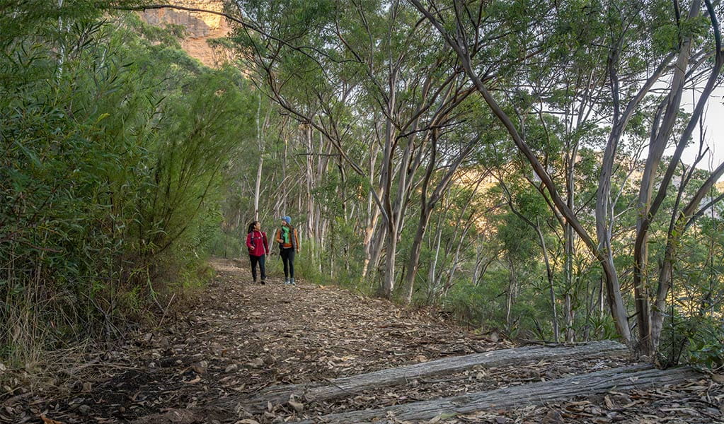 2 people walking Glow Worm Tunnel via Wolgan Valley loop surrounded by bush with heritage train sleepers in the foreground. Credit: John Spencer &copy; DCCEEW